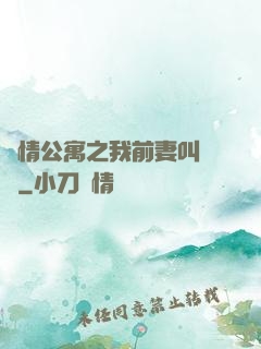 愛情公寓之我前妻叫諾瀾