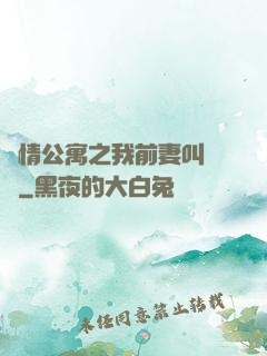 愛情公寓之我前妻叫諾瀾