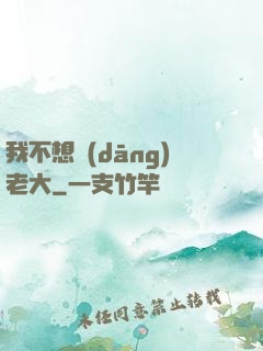 我不想當(dāng)老大