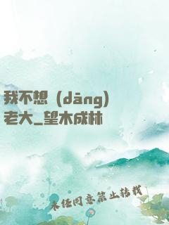 我不想當(dāng)老大