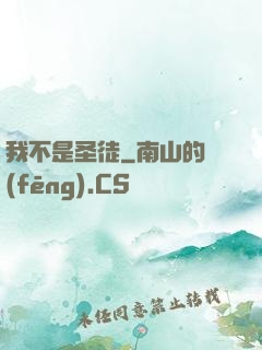 我不是圣徒