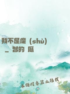 我不是魔術(shù)師