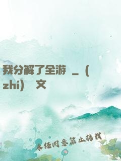 我分解了全游戲