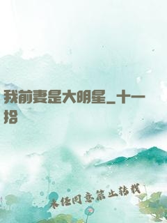 我前妻是大明星