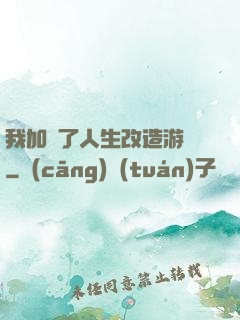 我加載了人生改造游戲
