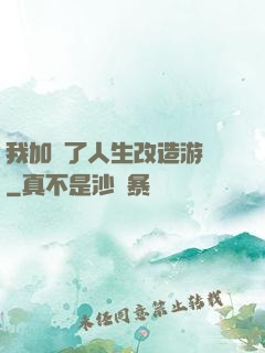 我加載了人生改造游戲