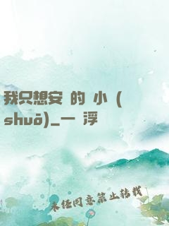 我只想安靜的寫小說(shuō)