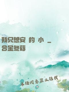 我只想安靜的寫小說