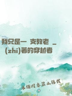 我只是一個支教老師