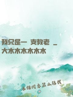 我只是一個支教老師