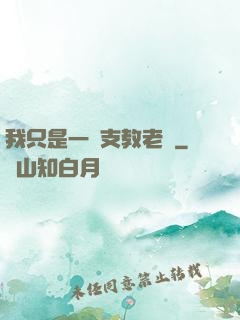 我只是一個支教老師