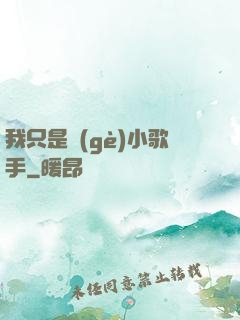 我只是個(gè)小歌手