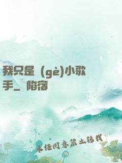 我只是個(gè)小歌手