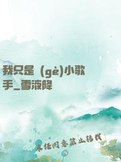 我只是個(gè)小歌手
