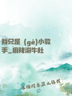 我只是個(gè)小歌手