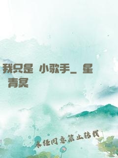 我只是個小歌手