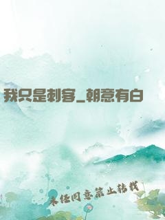 我只是刺客