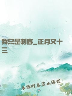 我只是刺客