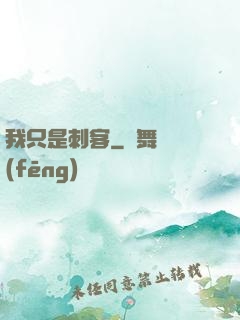 我只是刺客
