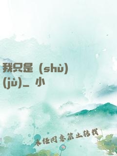我只是數(shù)據(jù)