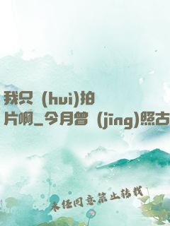 我只會(huì)拍爛片啊