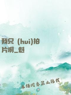 我只會(huì)拍爛片啊
