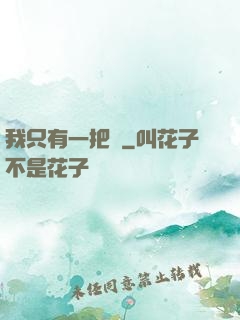 我只有一把槍