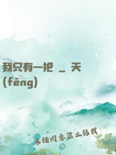 我只有一把槍