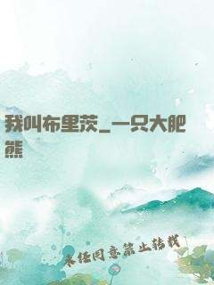 我叫布里茨