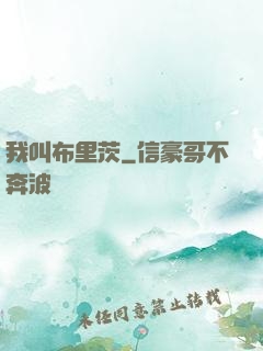 我叫布里茨