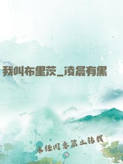 我叫布里茨