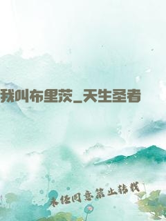 我叫布里茨