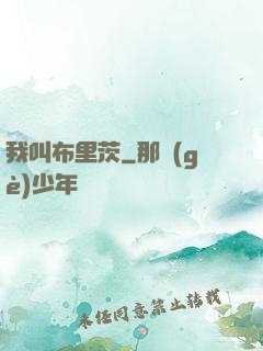 我叫布里茨