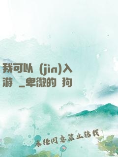 我可以進(jìn)入游戲