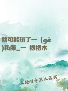 我可能玩了一個(gè)私服