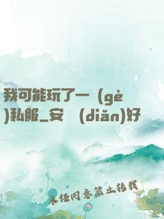 我可能玩了一個(gè)私服