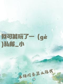 我可能玩了一個(gè)私服