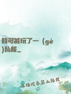 我可能玩了一個(gè)私服