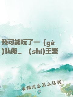 我可能玩了一個(gè)私服