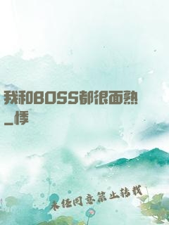 我和BOSS都很面熟