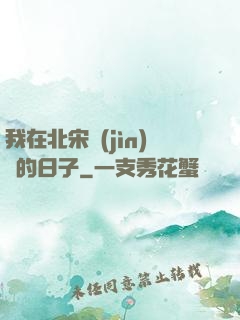 我在北宋進(jìn)貨的日子