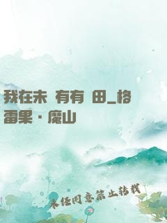 我在未來有有點田