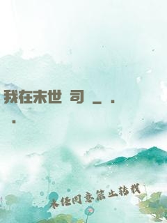 我在末世當司機