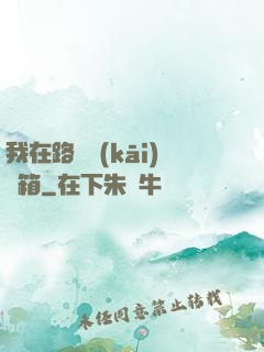 我在路邊開(kāi)寶箱