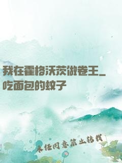 我在霍格沃茨做卷王