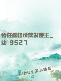 我在霍格沃茨做卷王