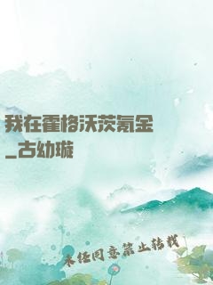 我在霍格沃茨氪金變強