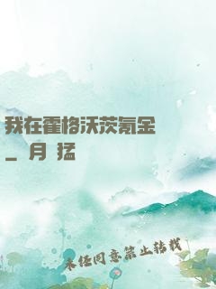 我在霍格沃茨氪金變強