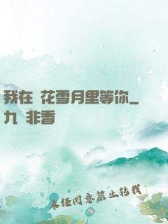 我在風花雪月里等你