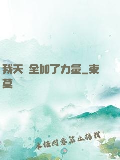我天賦全加了力量